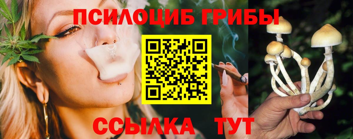 Прокопьевск  Псилоцибиновые грибы GOLDEN TEACHER  Вход с VPN 